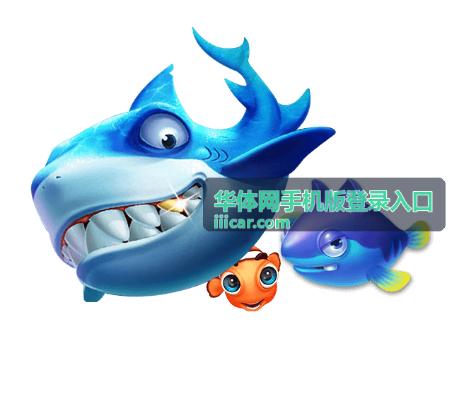 华体网手机版登录入口多端使用帮助